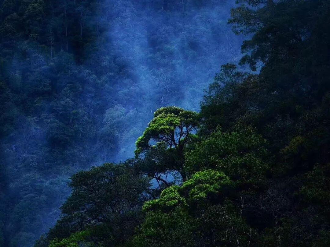 《贵在逻辑》在京首发